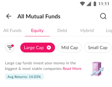 Inline category education explaining in plain language what large cap funds are, shown on the fund listing
